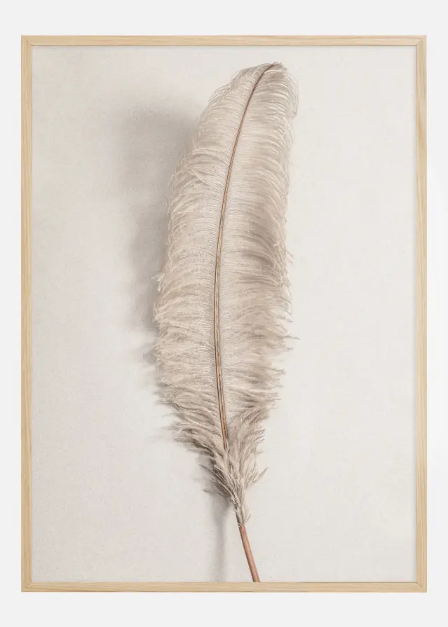 Feather 002 Juliste