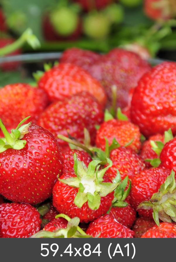 Suurennos Standard Photo Glossy 290 g