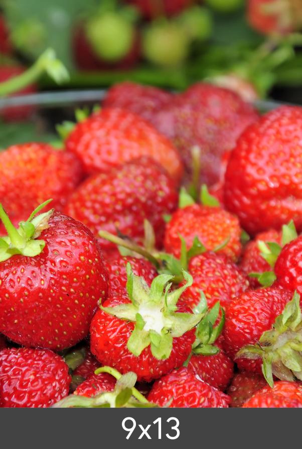 Suurennos Standard Photo Glossy 290 g