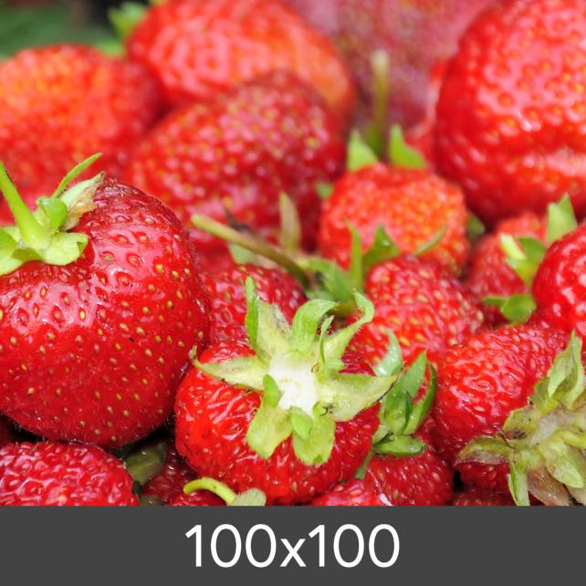 Suurennos Standard Photo Glossy 290 g