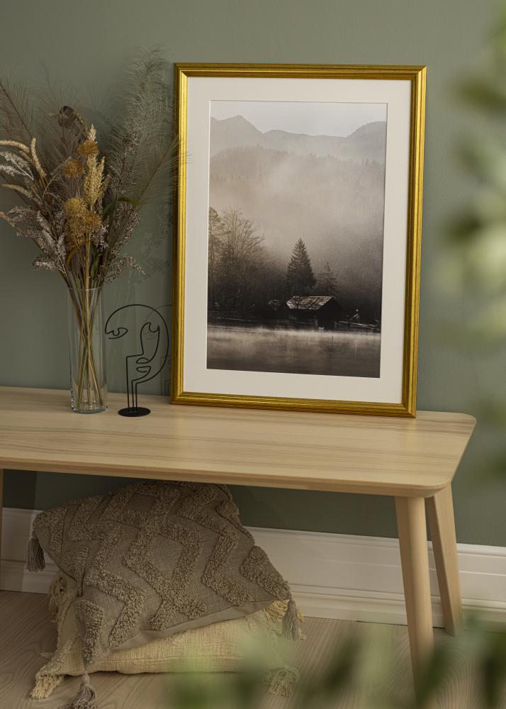 Kehys Västkusten Akryylilasi Kullanvärinen 60x86 cm