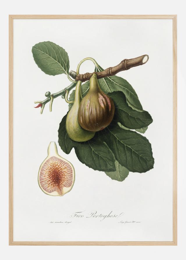 Figs Juliste