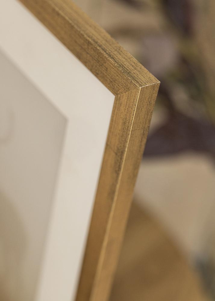 Kehys Stilren Akryylilasi Kullanvärinen 50x70 cm