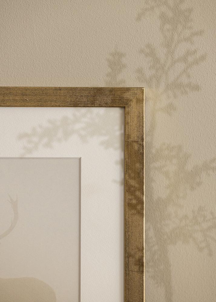 Kehys Stilren Akryylilasi Kullanvärinen 50x70 cm