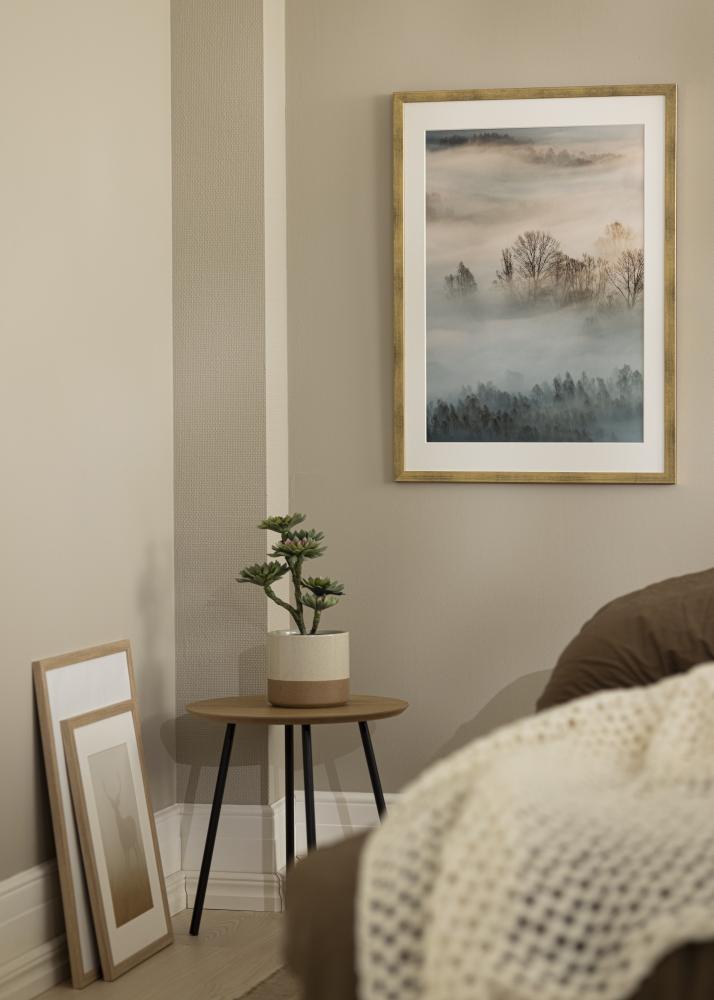 Kehys Stilren Akryylilasi Kullanvärinen 50x70 cm