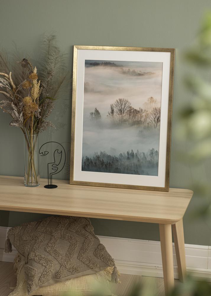 Kehys Stilren Akryylilasi Kullanvärinen 50x70 cm