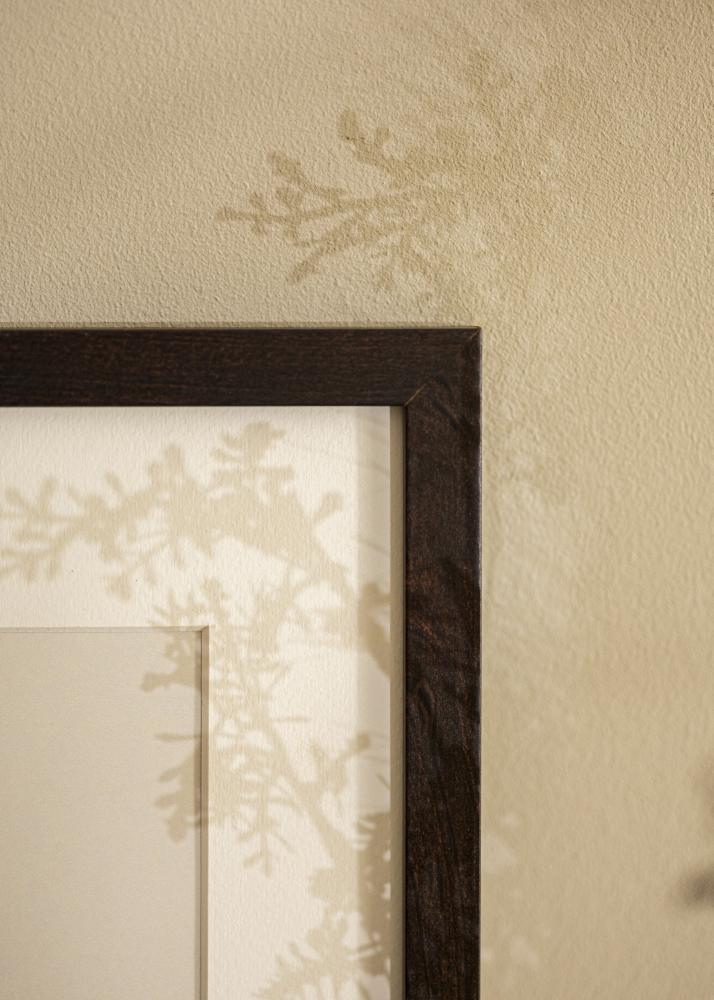 Kehys Selection Akryylilasi Saksanpähkinä 15x20 cm