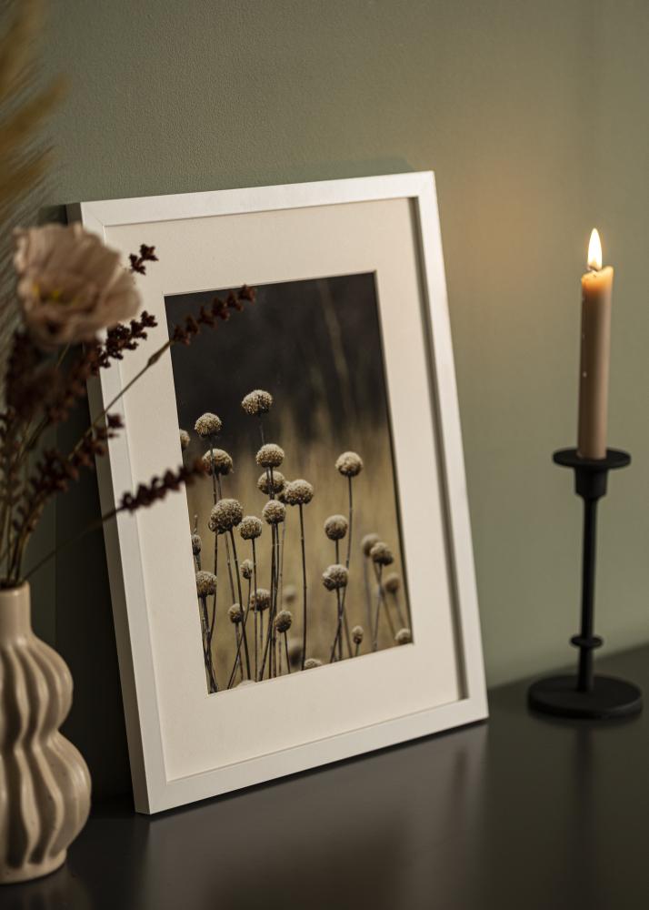 Kehys Selection Akryylilasi Valkoinen 60x70 cm