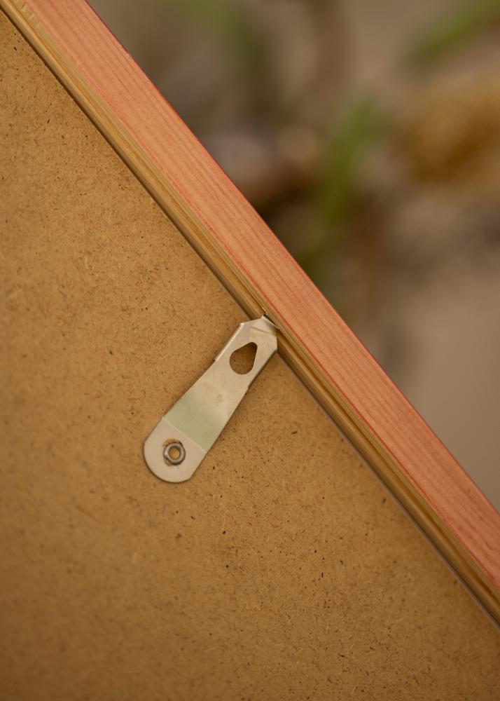 Kehys Diana Akryylilasi Punainen 50x70 cm