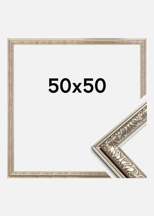 Kehys Nostalgia Hopeanvärinen 50x50 cm