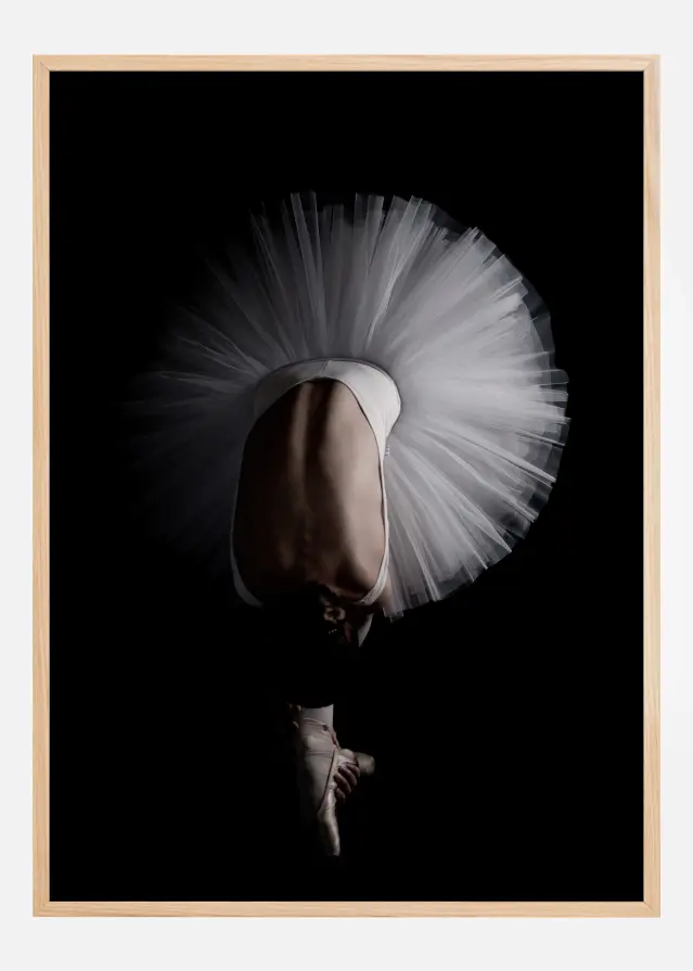 Flower Ballet Juliste