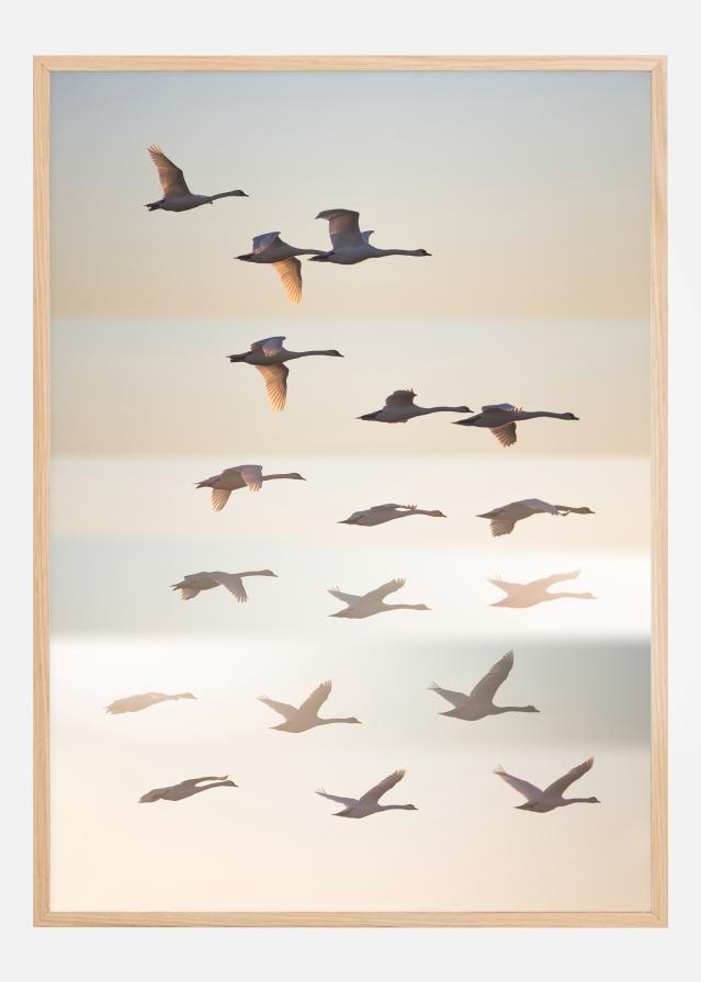 Past The Sun Juliste