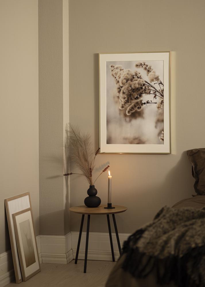 Kehys Aluminium Akryylilasi Kiiltävä Kullanvärinen 50x50 cm