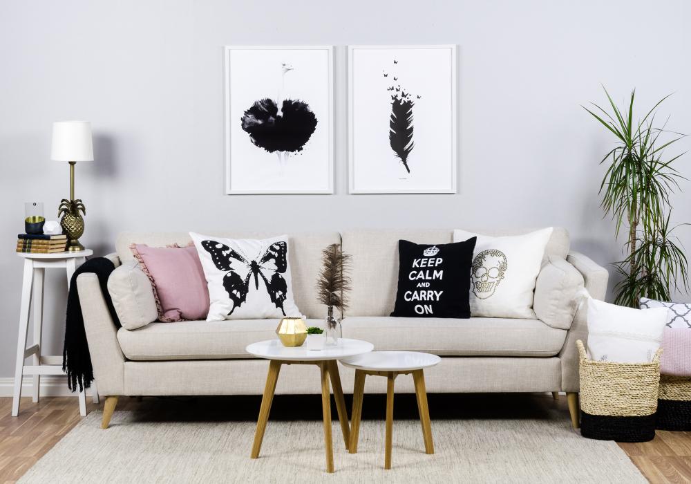 Fjer 1.0 Mustavalkoinen