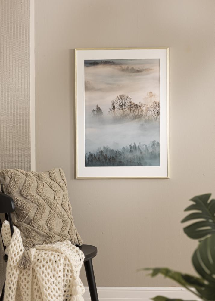 Kehys Chair Kullanvärinen 70x100 cm