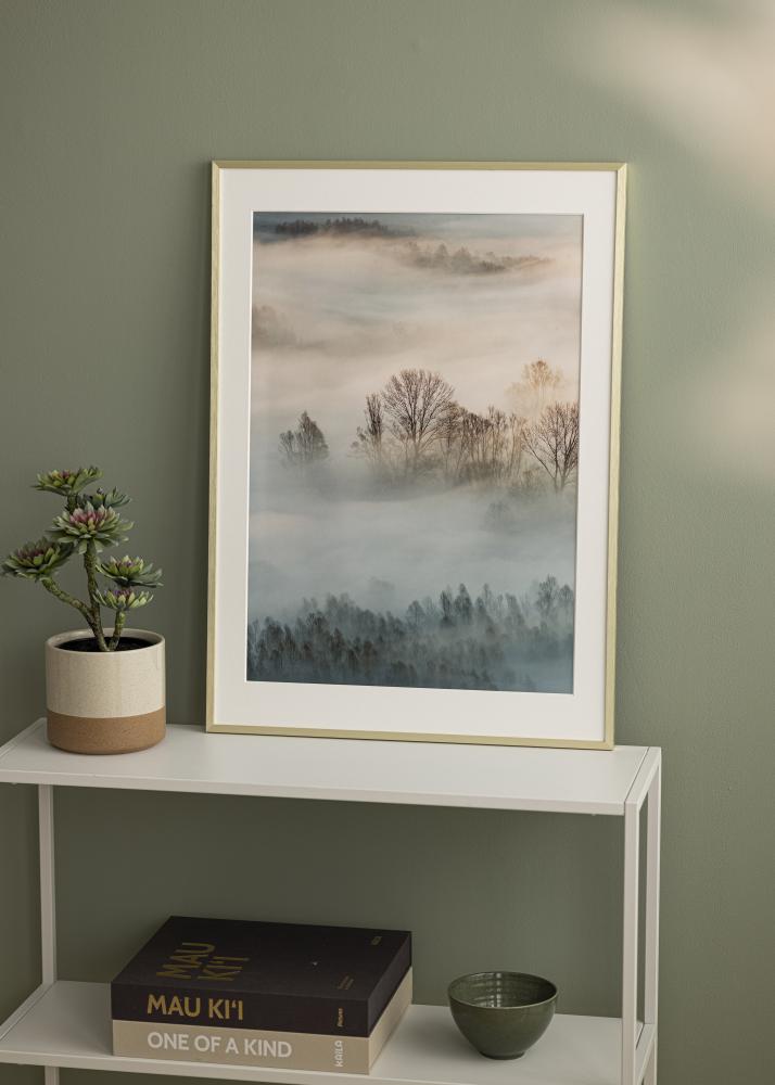 Kehys Chair Kullanvärinen 70x100 cm