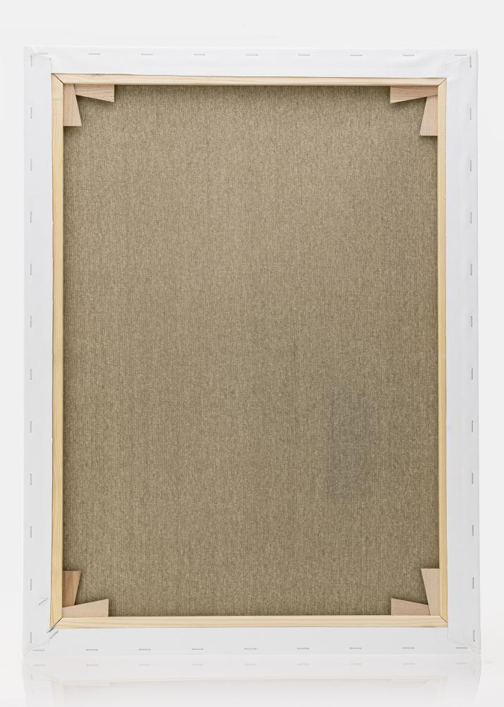 Maalauskangas Premium Valkoinen 60x80 cm