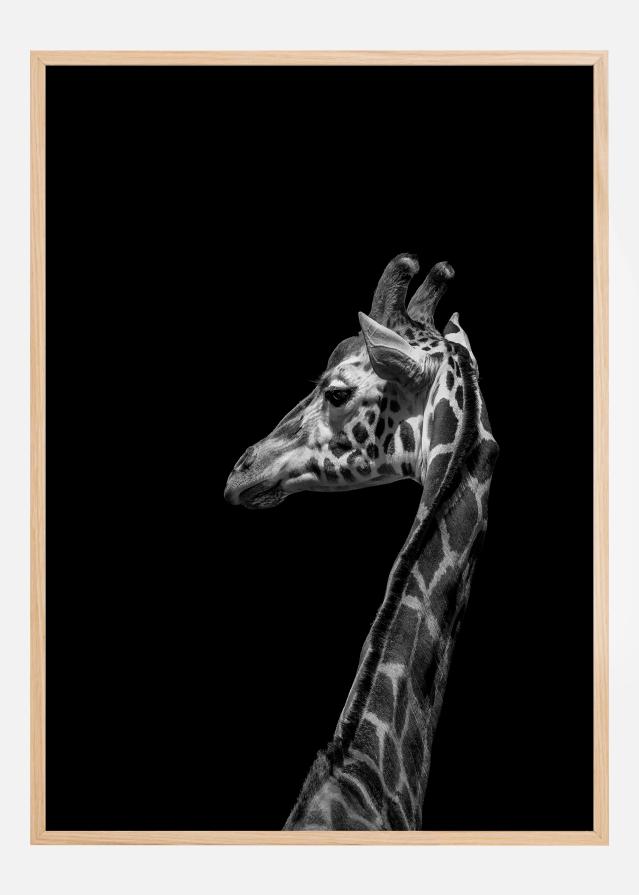 I'm not happy Juliste