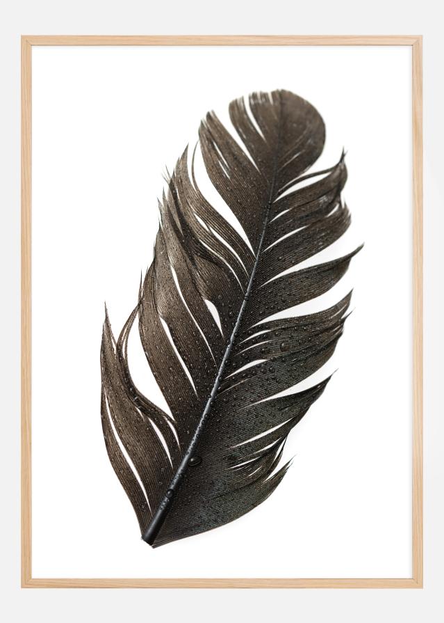 Feather Juliste
