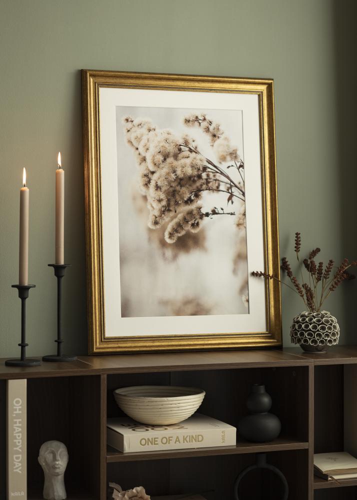 Kehys Rokoko Akryylilasi Kullanvärinen 50x50 cm