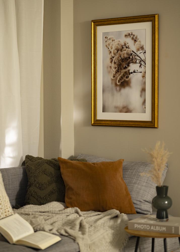 Kehys Rokoko Akryylilasi Kullanvärinen 50x50 cm