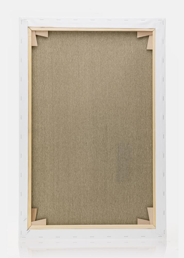 Maalauskangas Premium Valkoinen 80x120 cm