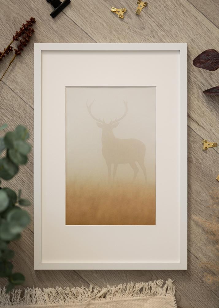 Kehys Modern Akryylilasi Valkoinen 30x45 cm