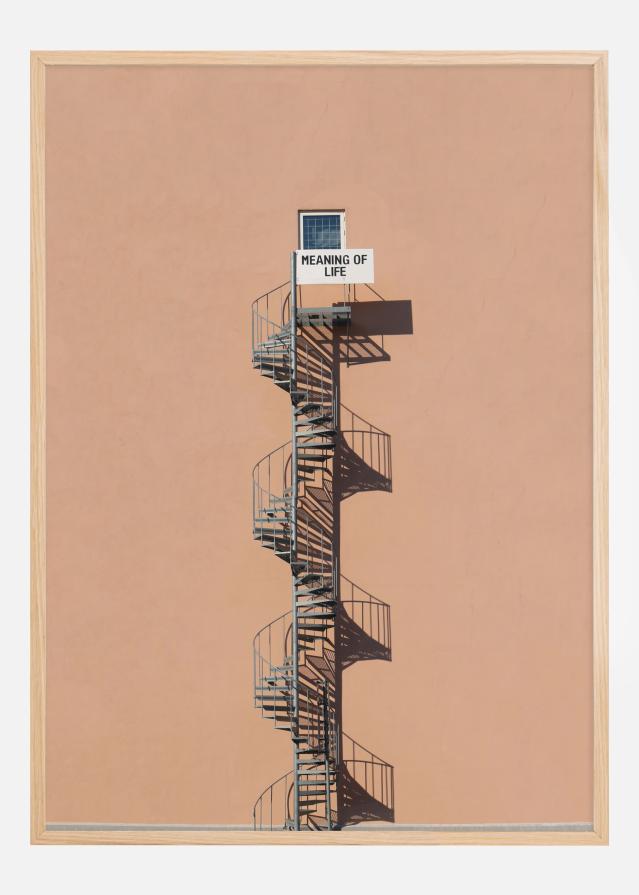 Meaning of life Juliste