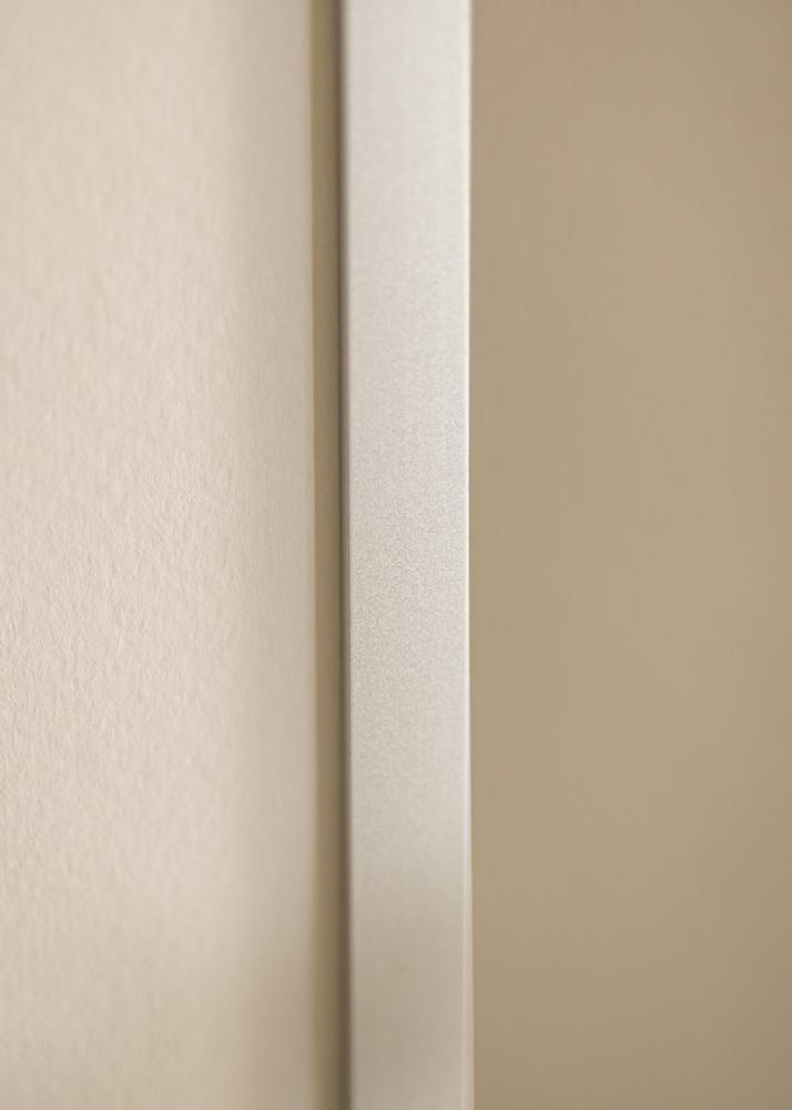 Peili Helsingfors Hopeanvärinen