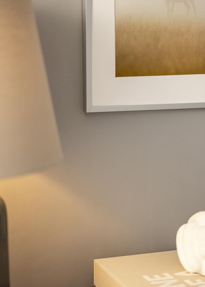 Peili Helsingfors Hopeanvärinen