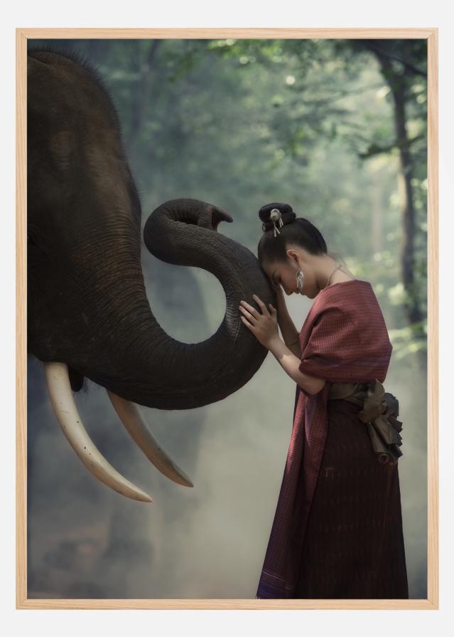 Respect the elephant Juliste