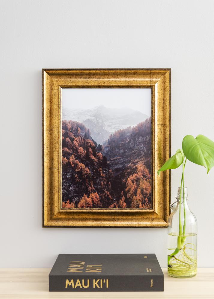 Kehys Saltsjöbaden Akryylilasi Kullanvärinen 35x50 cm