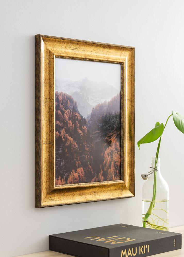 Kehys Saltsjöbaden Akryylilasi Kullanvärinen 35x50 cm