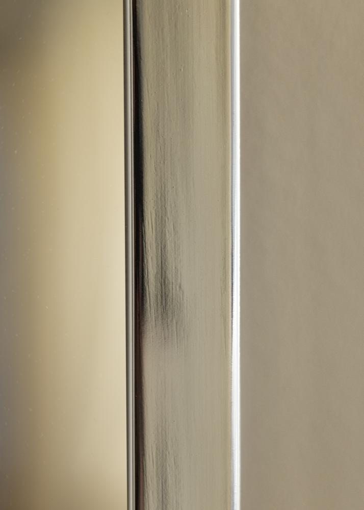 Peili Devon Hopeanvärinen