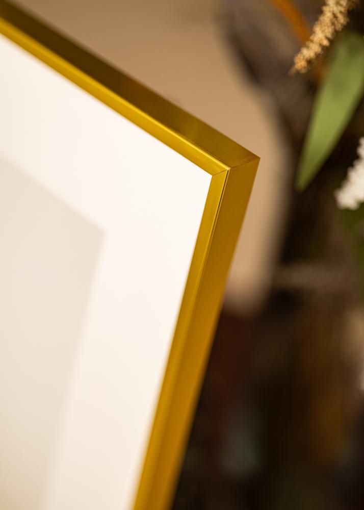 Alumiinikehys Akryylilasi Kulta 50x70 cm