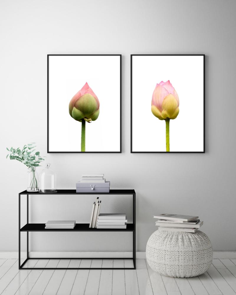 Lotusflower I - 50x70 cm Juliste