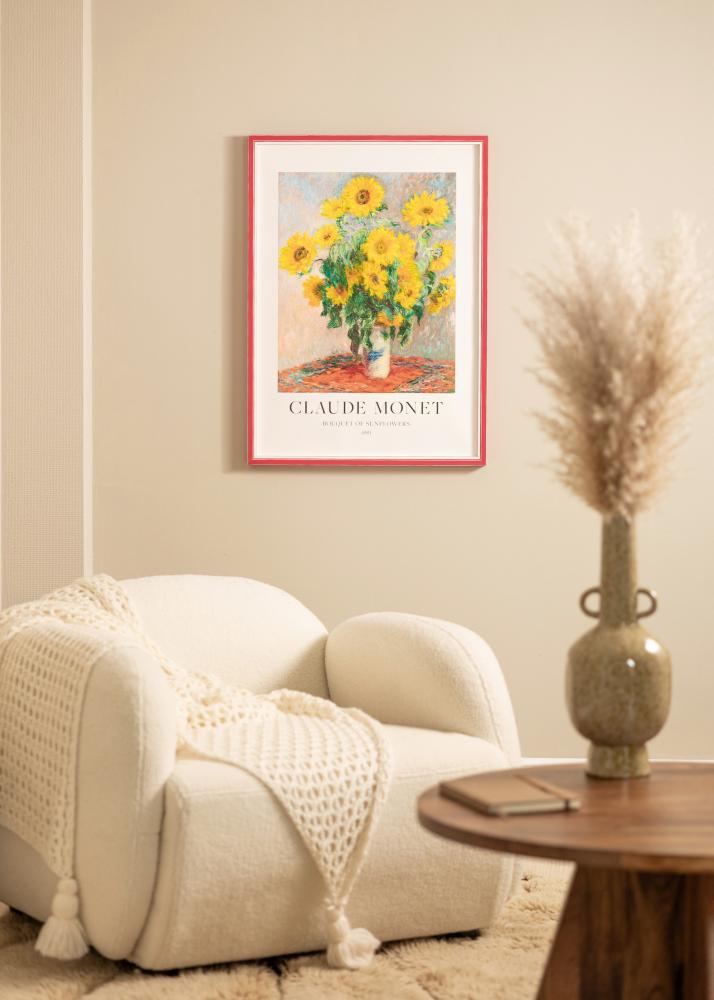 Kehys Diana Akryylilasi Punainen 45x60 cm