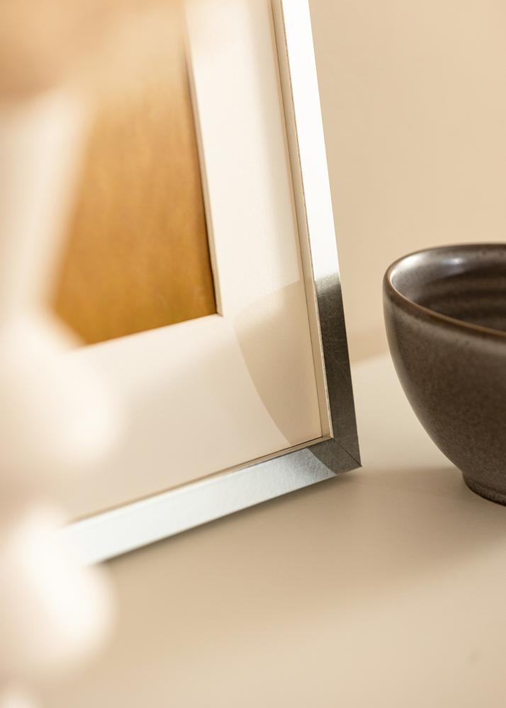 Kehys Minerva Akryylilasi Hopea 40x60 cm