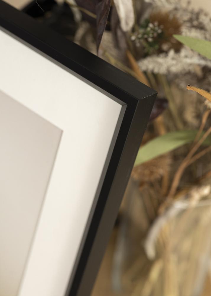 Kehys Globe Akryylilasi Musta 50x100 cm