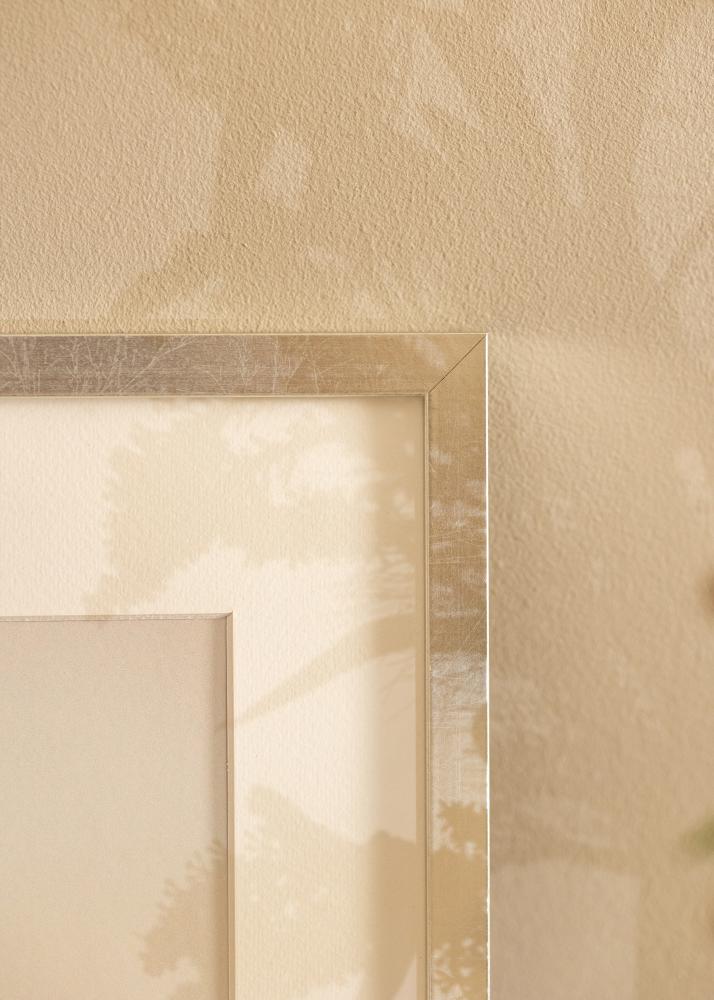 Kehys Minerva Akryylilasi Hopea 40x60 cm