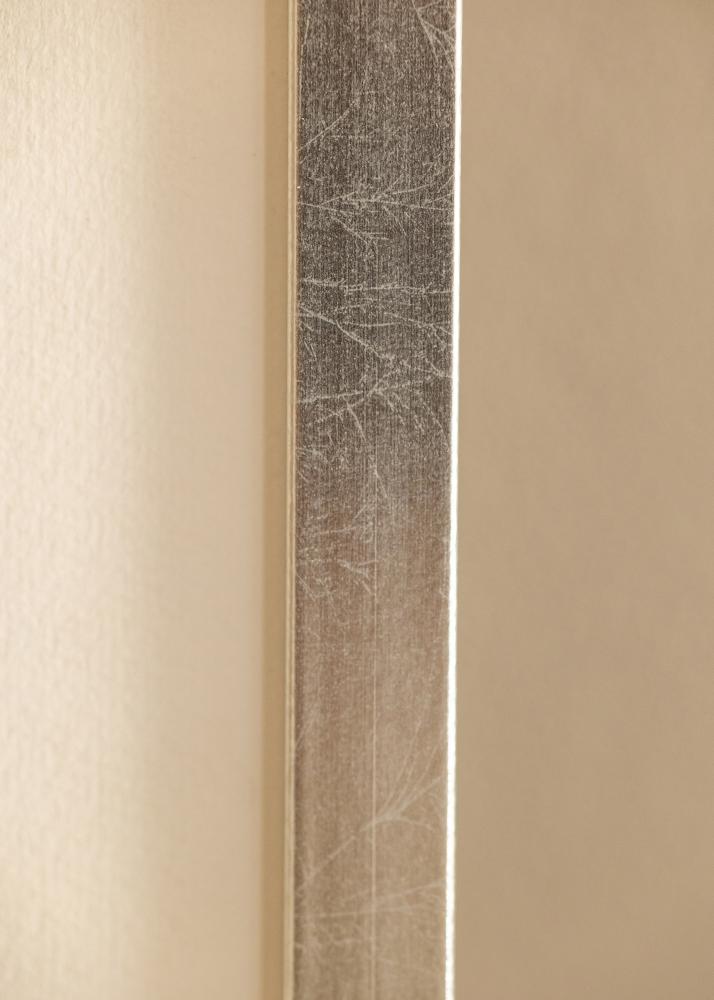 Kehys Minerva Akryylilasi Hopea 40x60 cm