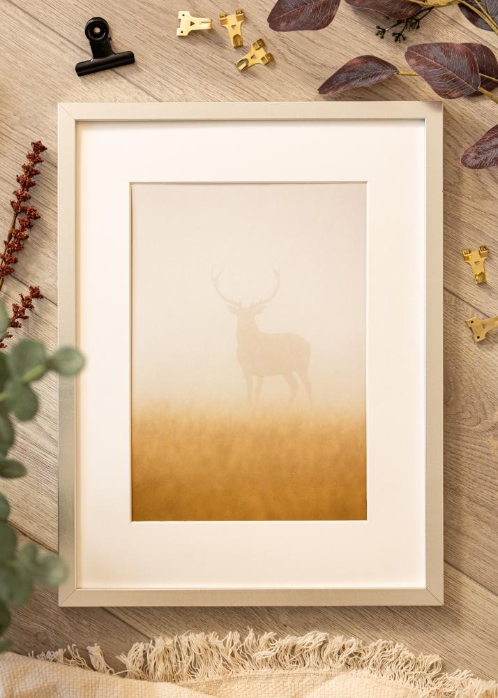 Kehys Minerva Akryylilasi Hopea 40x60 cm