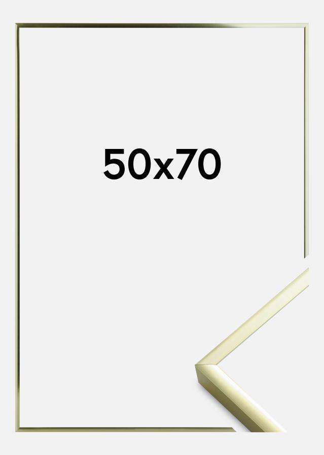 Kehys Poster Frame Aluminum Gold 50x70 cm