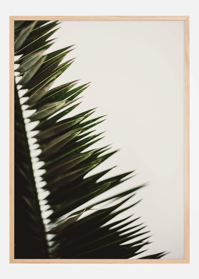 Palm Branches Juliste