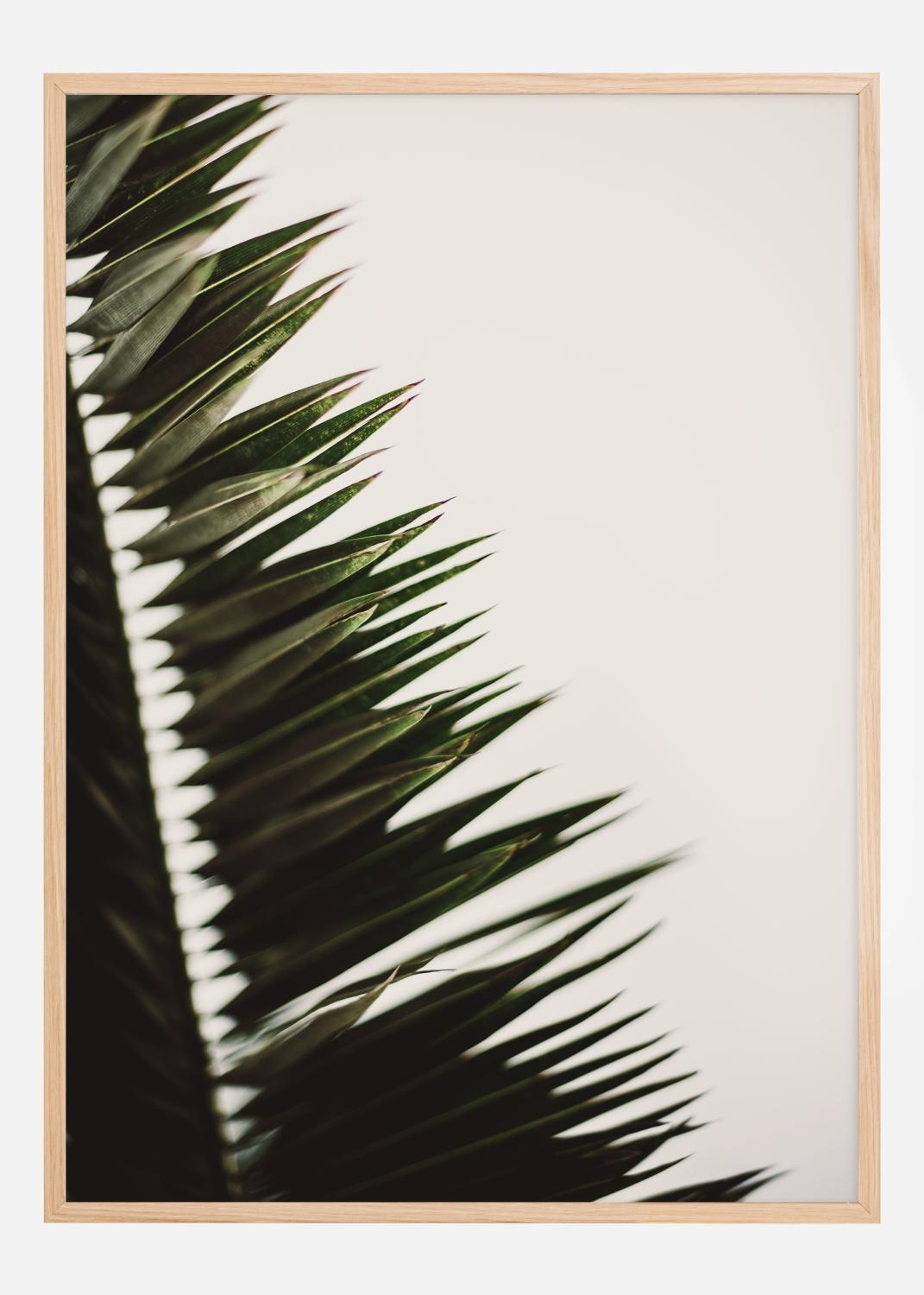 Product Image for Palm Branches Juliste (21x29.7 cm (A4))