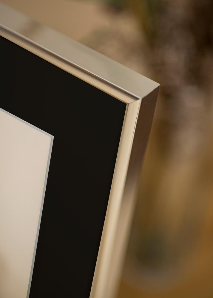 Kehys Alumiini Kiiltävä Hopea 70x100 cm - Paspatuuri Musta 62x85 cm