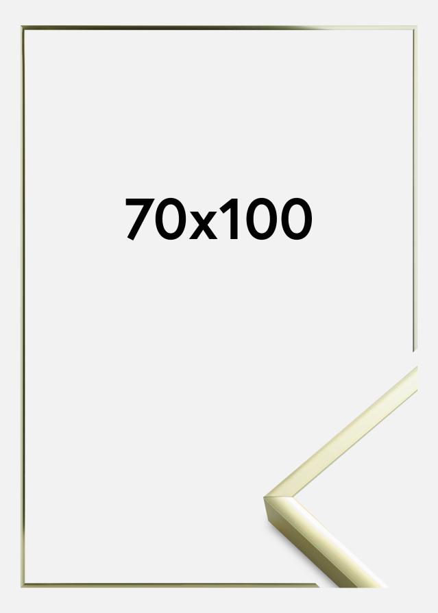 Kehys Poster Frame Aluminum Akryylilasi Gold 70x100 cm
