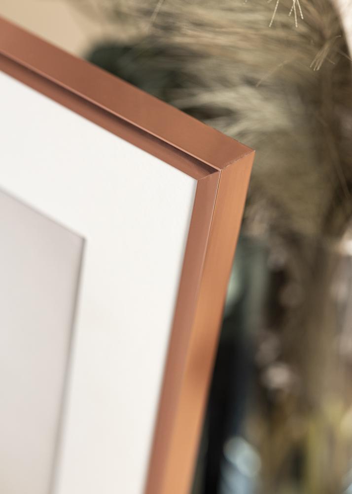 Kehys Poster Frame Aluminum Ruusukulta 40x50 cm