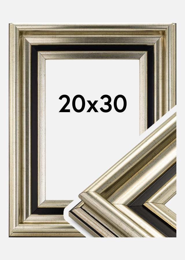 Kehys Gysinge Premium Hopeanvärinen 20x30 cm