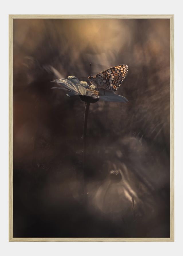 Pyrotechnics Juliste